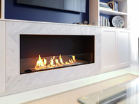 FLEX-50SS-EcoSmart-Fire-348639-rel817d2c32.jpg thumb image